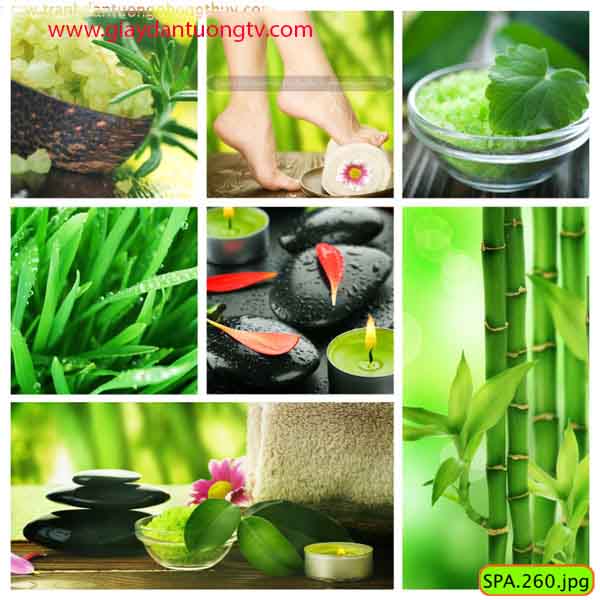 Giấy dán tường trà vinh Giấy dán tường trà vinh