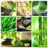 Giấy dán tường trà vinh - anh 1